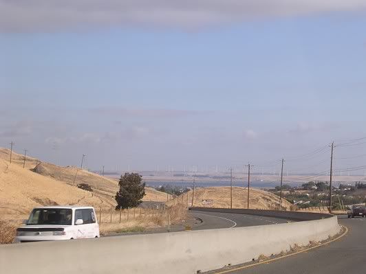 View2-1.jpg