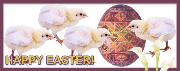 easter-chicks-large.jpg