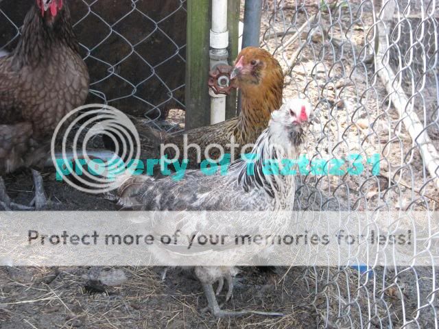 IMG_8047.jpg