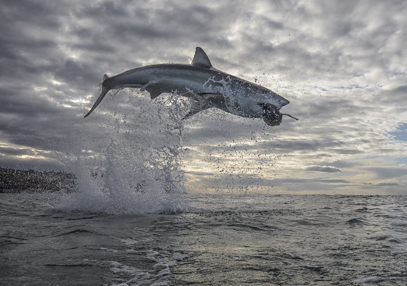 Air_Jaws_Ultimate_Breach_Off.jpg
