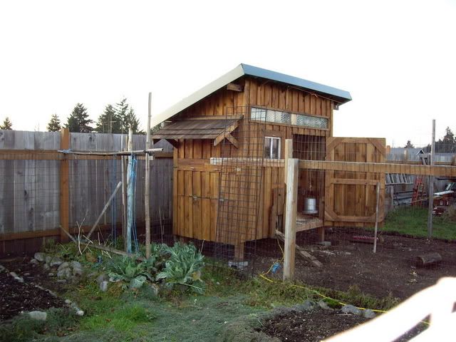 IMGP2862.jpg