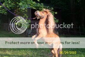 l_6366576bca23ccb31c10cfebf166ded4.jpg