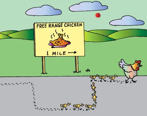 free_range_chicken_344945.jpg
