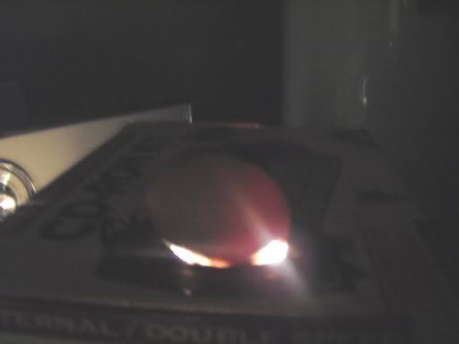 candledeggsday7019.jpg