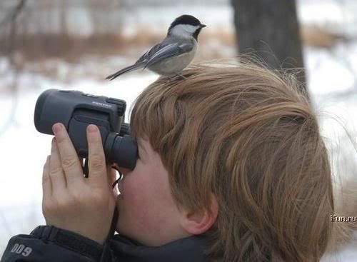 where-did-the-bird-go.jpg