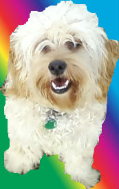 coco