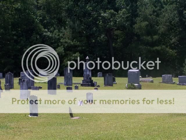 012-6.jpg