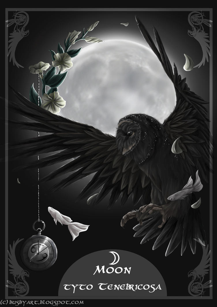 solar_owls_moon_by_busbyart-d4si440.jpg