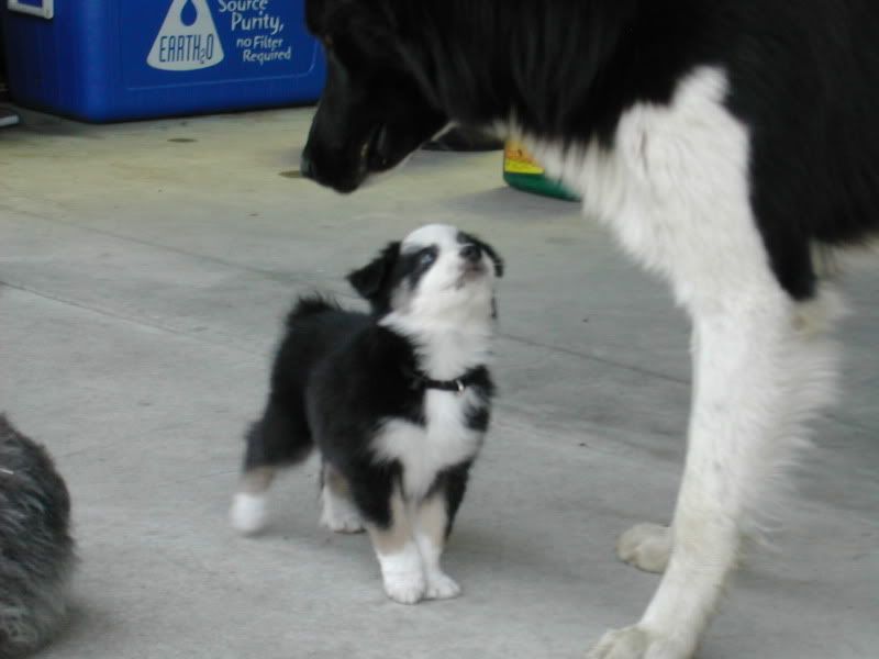 DSCN1766.jpg