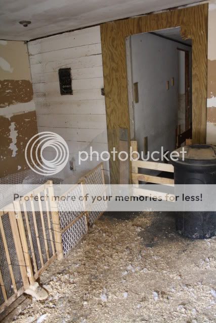 duckhouse469.jpg