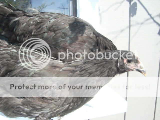 DSC02845.jpg
