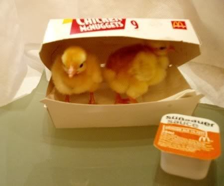 chicken_mcnuggets-1.jpg