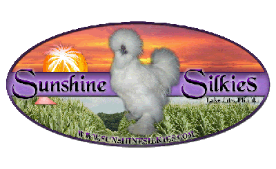 SunshineSilkies-gif-version2.gif