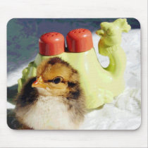 chick_and_camel_mousepad-p144868324081797790td22_210.jpg