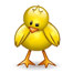 animals-34.gif