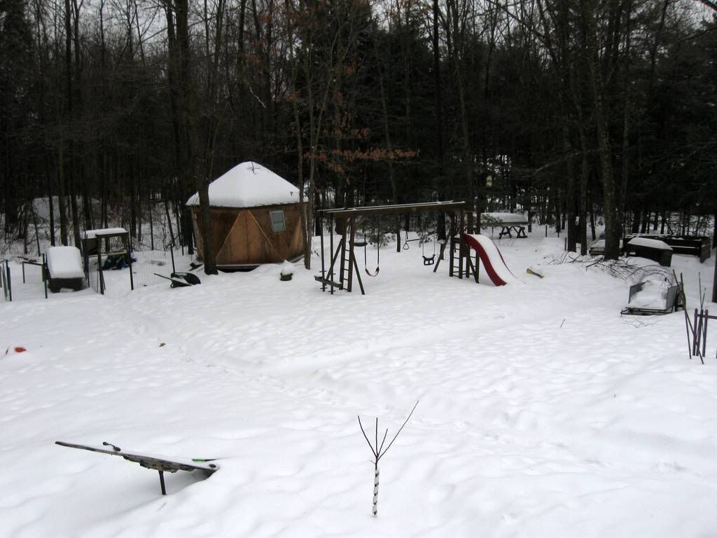 coopinsnow.jpg