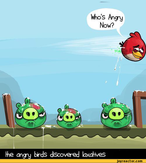 comics-gafcomics-angry-birds-****-616173.jpeg