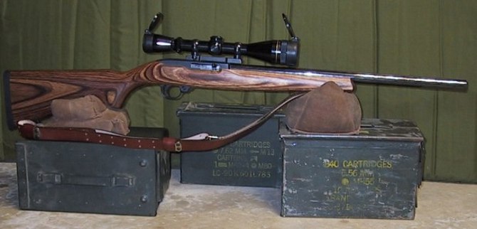 ruger_10_22t01.jpg