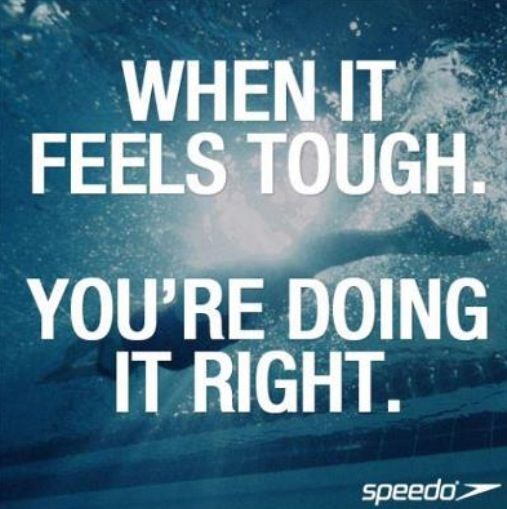 bec2f3a1ebb46ac41c0a725bdc353d44.jpg