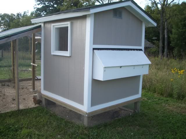 Nestbox.jpg