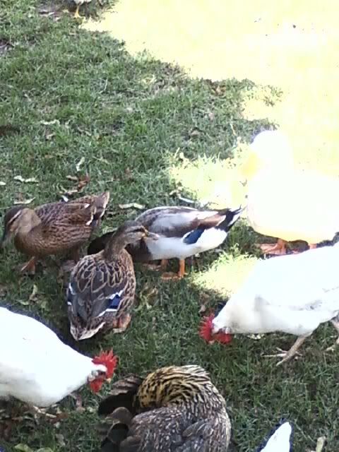 img1248809156032.jpg