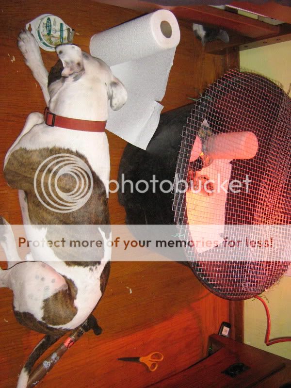 ChickenPen100.jpg