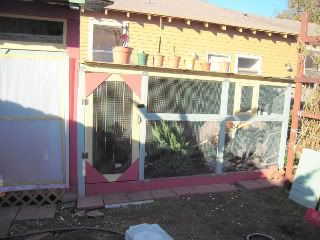 Coop-12-06-10-006-1-1.jpg
