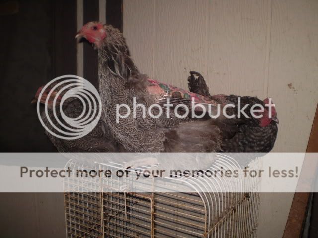PC300168.jpg