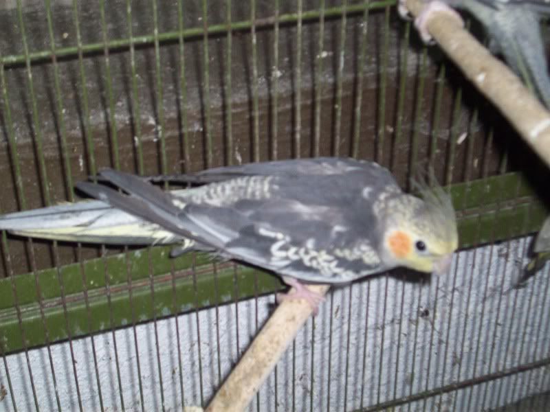 100_9052.jpg