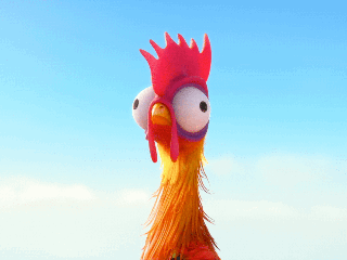 moana_yikes_a8ef4b4b.gif