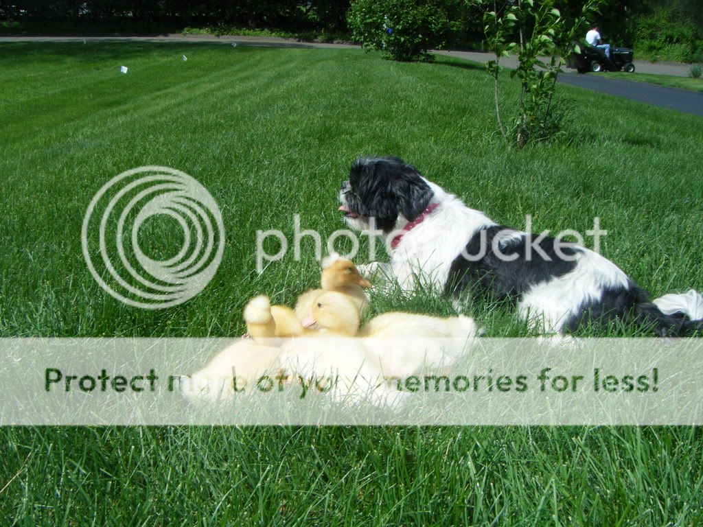 DSCF0311.jpg