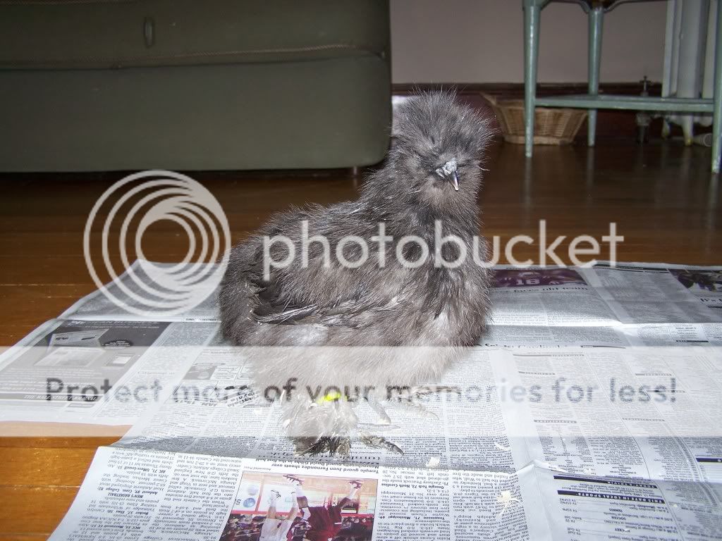 100_4259.jpg