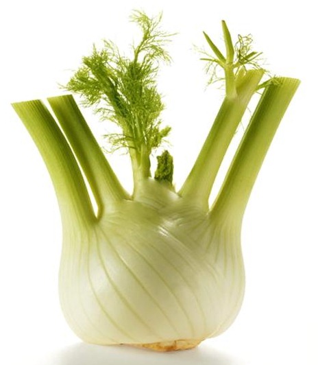 fennel-bulb.jpg