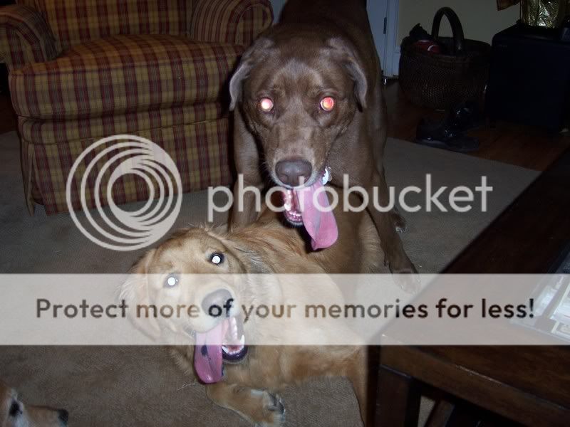 100_7611.jpg