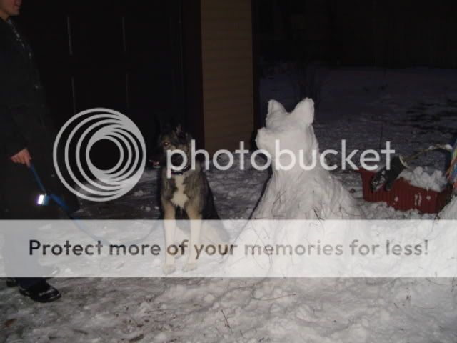 snow-dogs-1.jpg