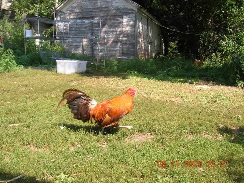 DSCN4866.jpg