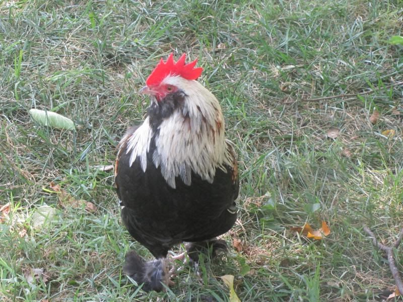 August32011015.jpg