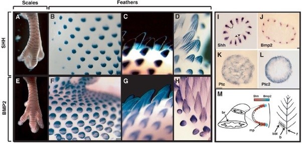 main-qimg-d561a089b9886ca3aaa3f62305721cc7-c