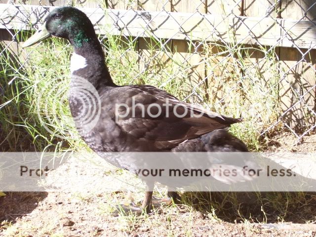 100_3210.jpg