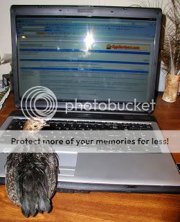 P1010007-1.jpg