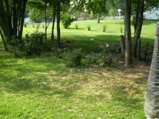 Picture138-1.jpg