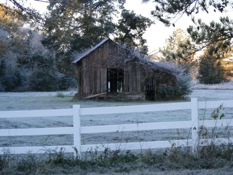 frost120509a006.jpg