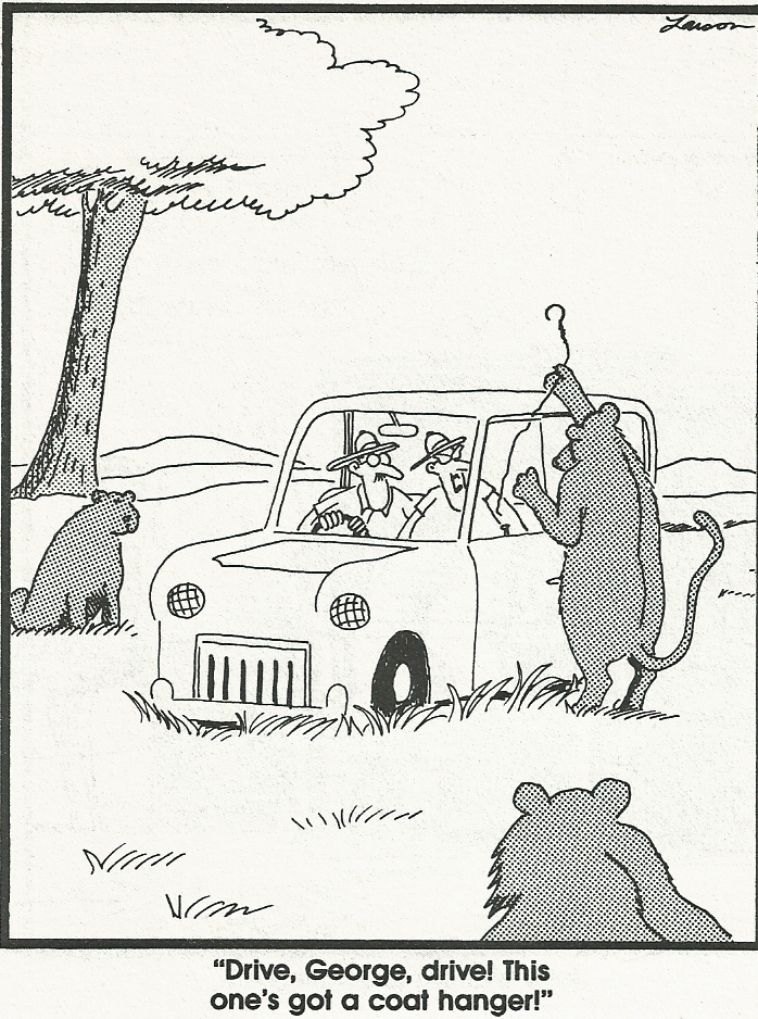 far-side-lions.jpg