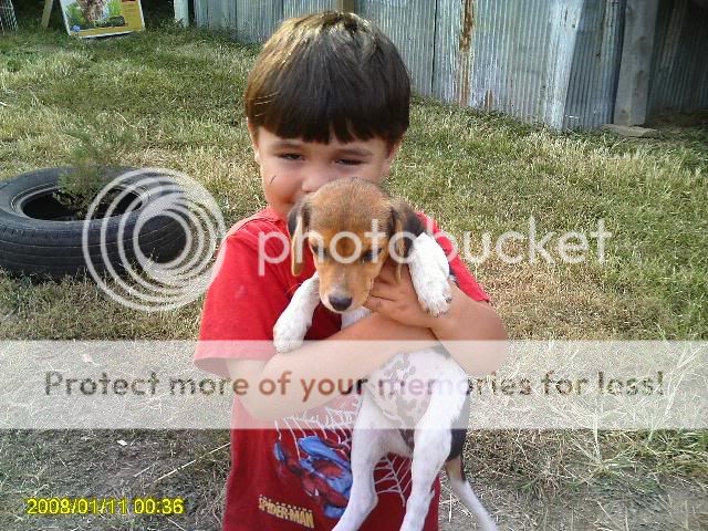 PICT0059.jpg