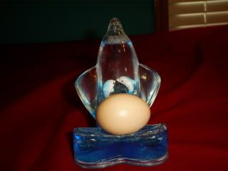chicksandcoopo099.jpg