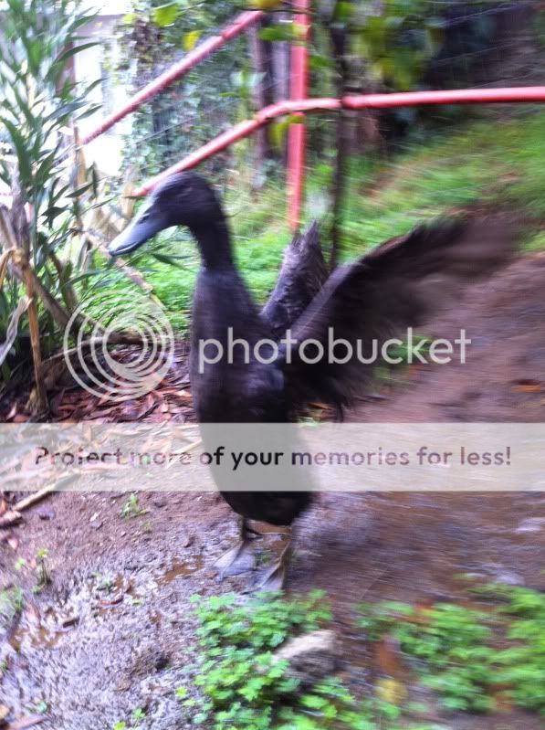 PhotoJan3084015AM.jpg