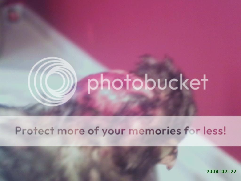 PHTO0116.jpg