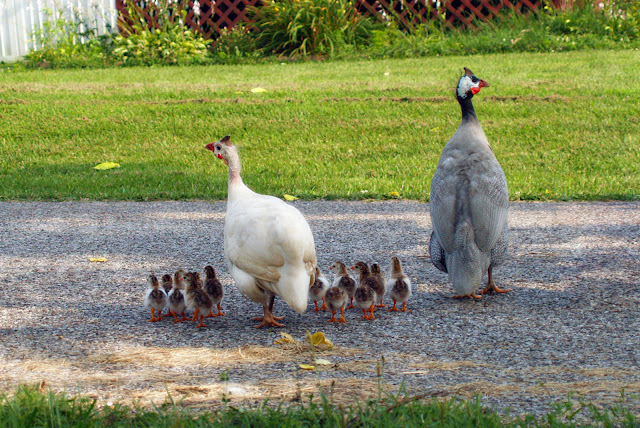 family.jpg