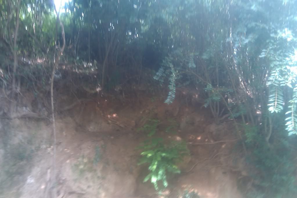 IMAG0101-1.jpg
