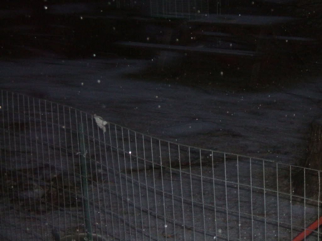 dscf0343.jpg